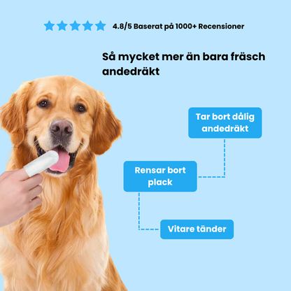 Fingerklude til kæledyr